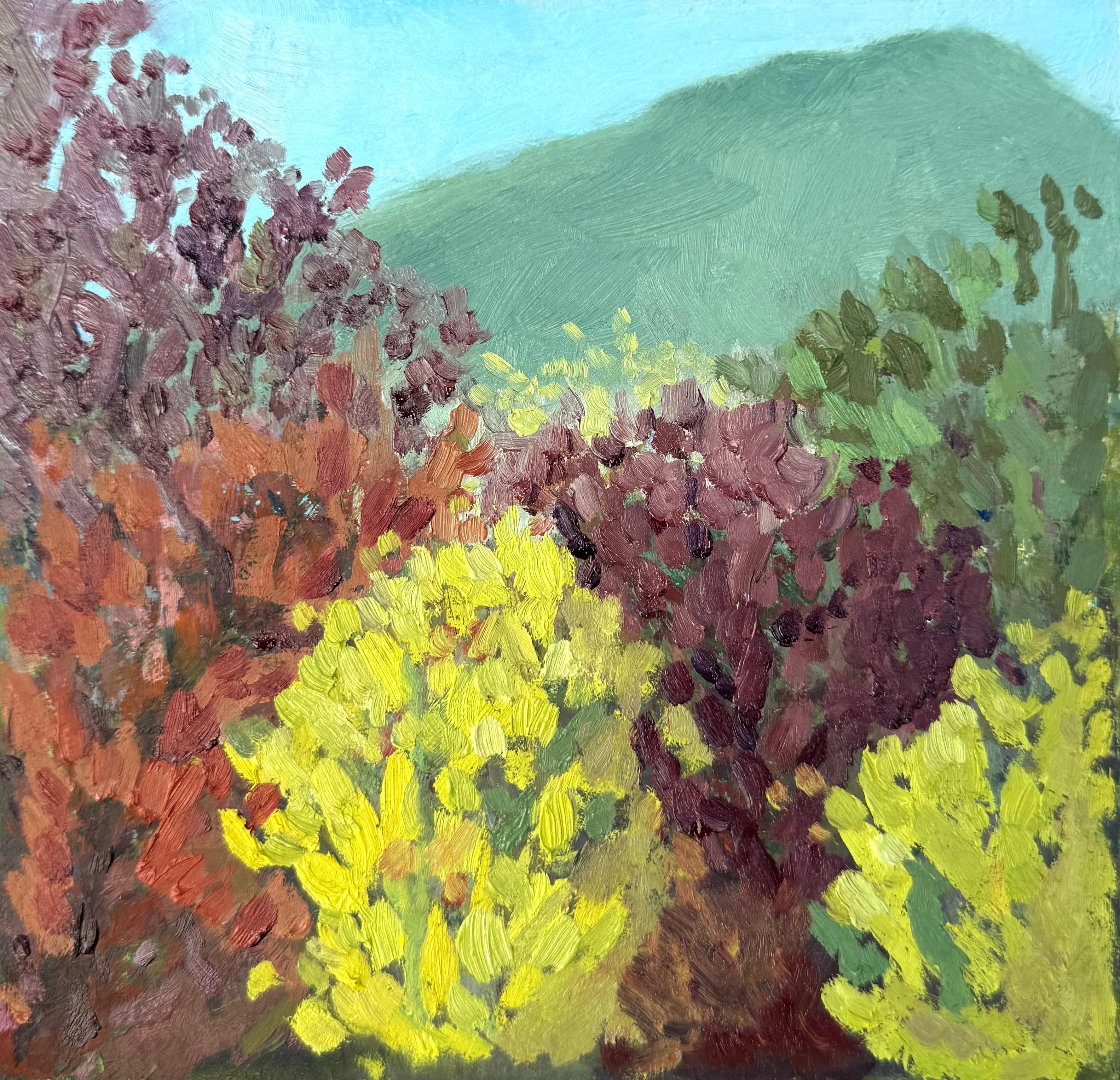 Fynbos Mayhem
