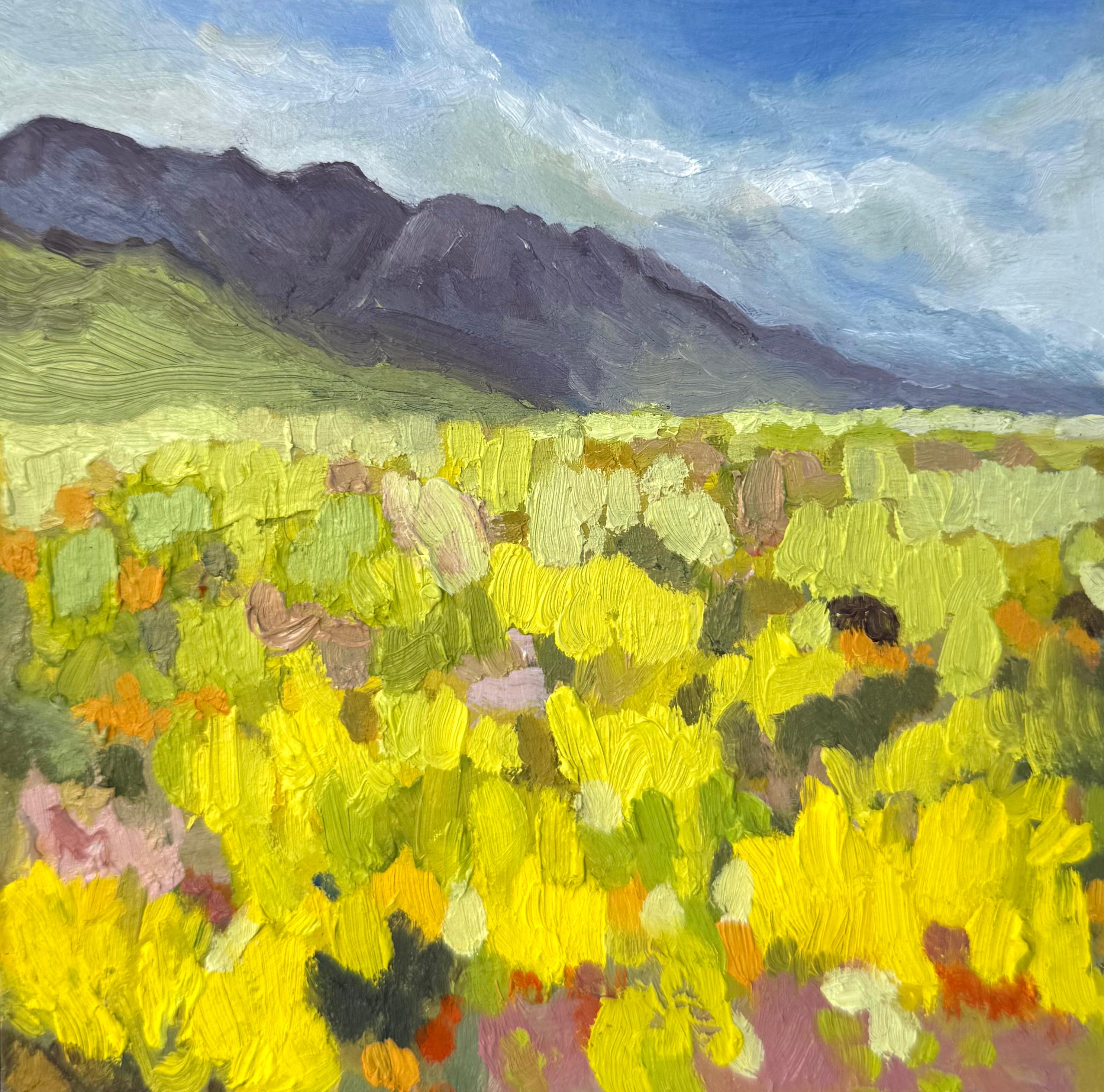 Kogelberg in Bloom