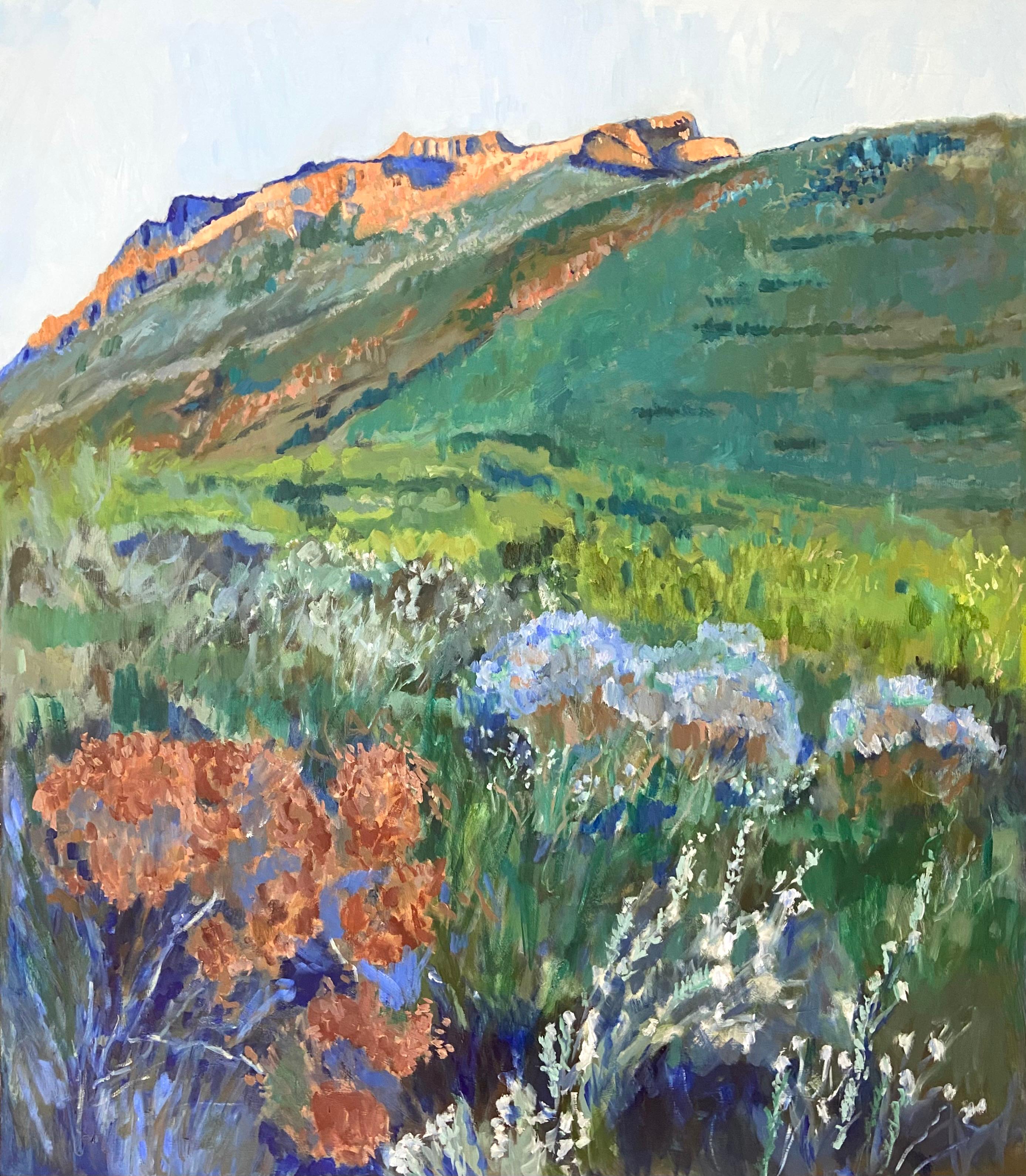 Sunset on Stellenbosch Mountain